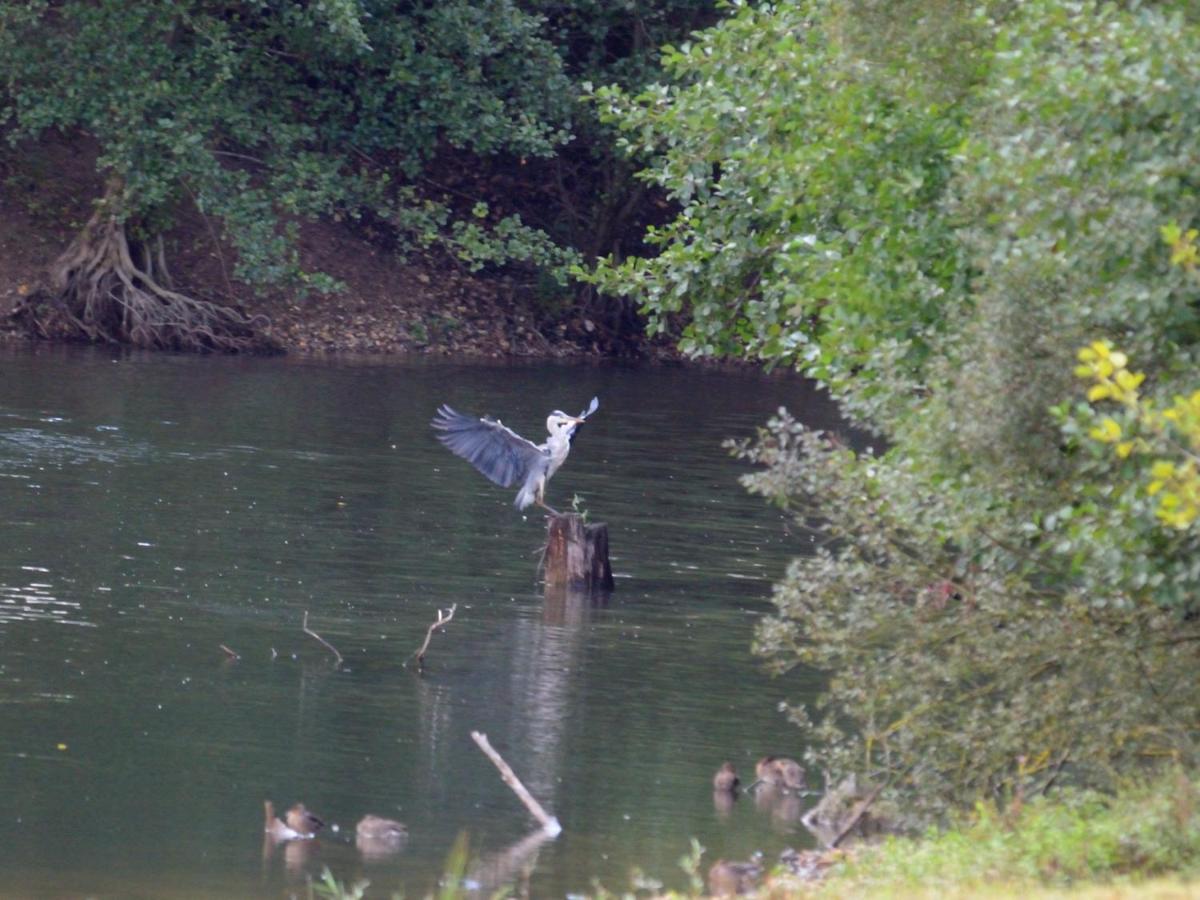 La Ravine Au Bord Du Loing Villa Montigny-sur-Loing Екстериор снимка